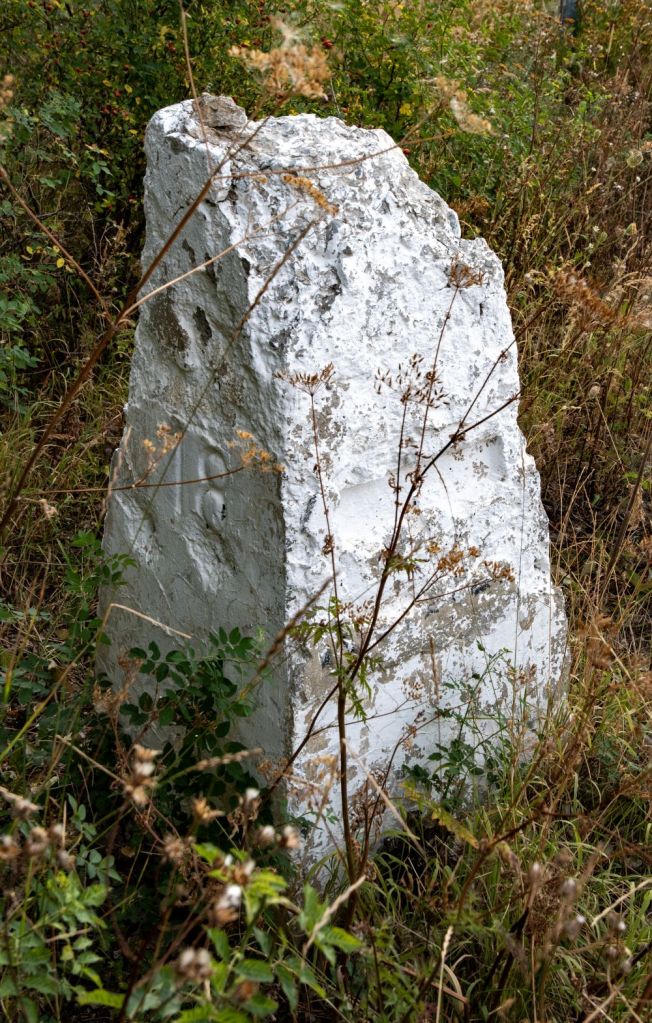 A weathered, white stone monument partially obscured by tall grass and weeds.