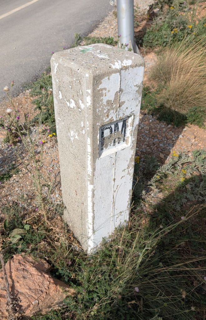 A weathered concrete mile marker with 'PM' painted on the front, surrounded by dry grass and small plants beside a road.