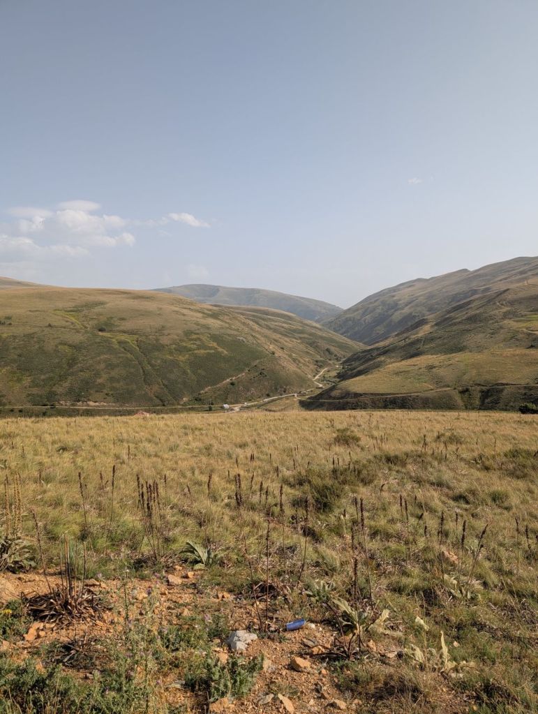 A panoramic view of rolling hills and a valley under a clear sky, with sparse vegetation and scattered rocky terrain in the foreground.